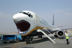 Plane-shark